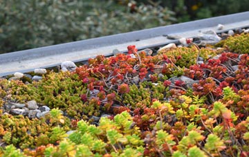 the cost of Moorland Or Northmoor Green green roof installation