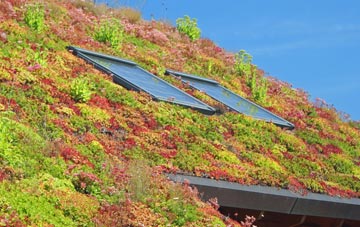Moorland Or Northmoor Green living roof systems